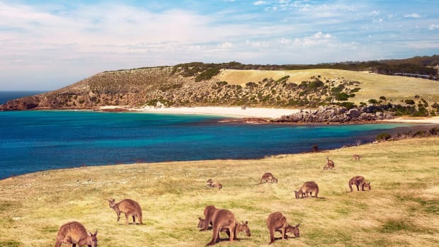 south-australia-2.jpg